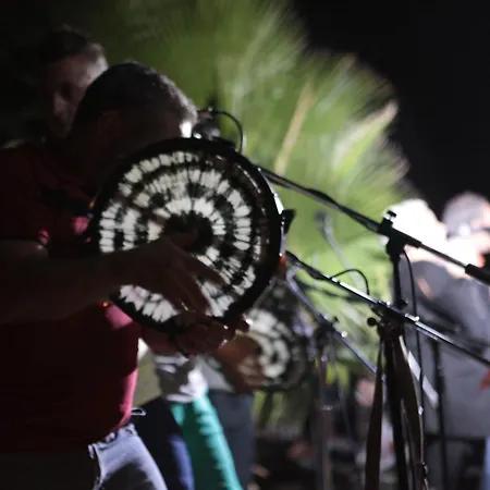 فندق مبيت وإفطار بالازو فيكيو 4*