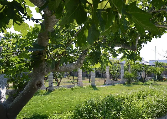 Bed & Breakfast Palazzo Vecchio