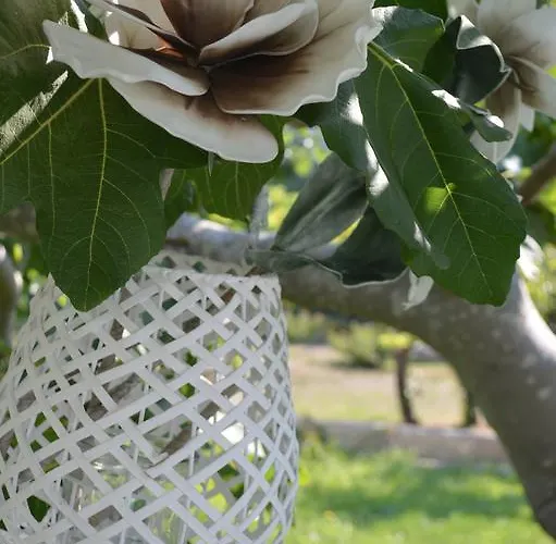 Bed & Breakfast Palazzo Vecchio 4*