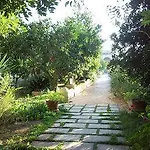 ベッド・アンド・ブレックファスト Palazzo Vecchio マリッティマ