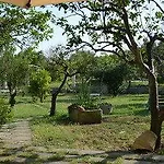 Palazzo Vecchio マリッティマ