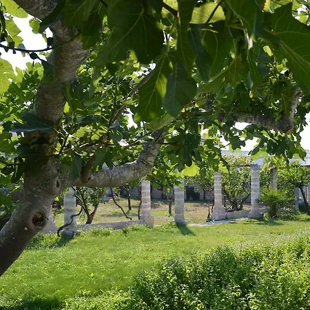 Bed & Breakfast Palazzo Vecchio