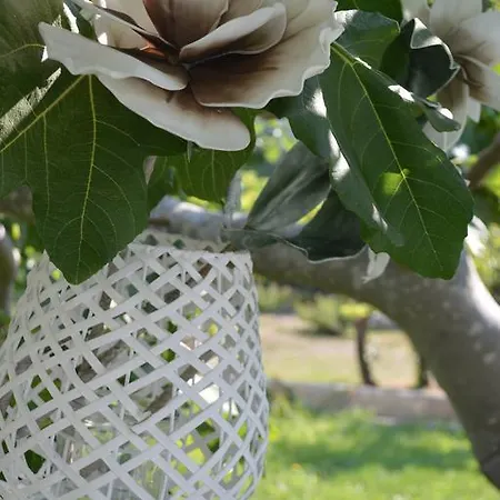 Bed & Breakfast Palazzo Vecchio 4*