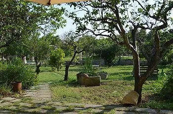 Palazzo Vecchio マリッティマ